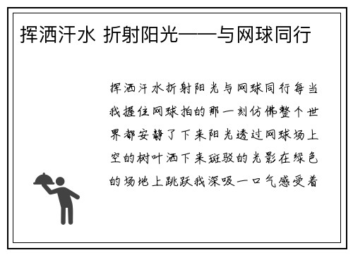 挥洒汗水 折射阳光——与网球同行